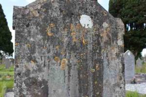 Owens Delia Rooske Lodge Dunboyne (2)